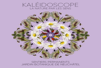  Affiche_Kaleidoscope_carre.png